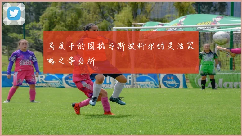 乌度卡的固执与斯波科尔的灵活策略之争分析