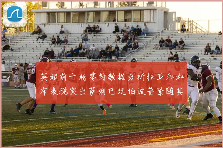 英超前十轮零封数据分析拉亚和加布表现突出萨利巴廷伯波普紧随其后