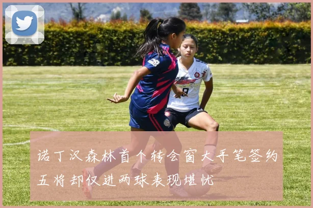 诺丁汉森林首个转会窗大手笔签约五将却仅进两球表现堪忧
