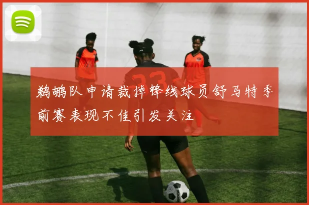 鹈鹕队申请裁掉锋线球员舒马特季前赛表现不佳引发关注