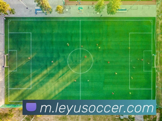 乐鱼体育品牌故事