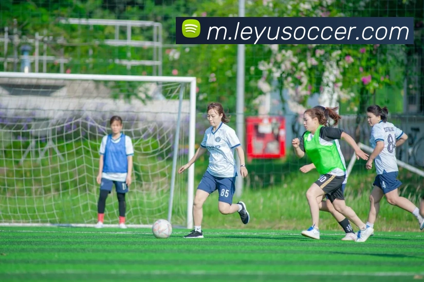 乐鱼体育服务体系