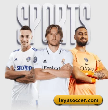 乐鱼体育围绕看球场景设计的核心服务 - leyu.com